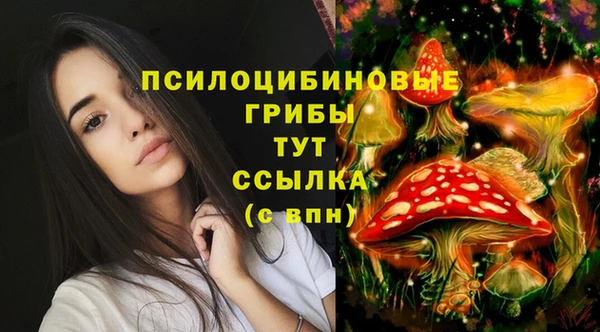 apvp Белокуриха