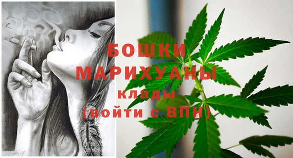 apvp Белокуриха