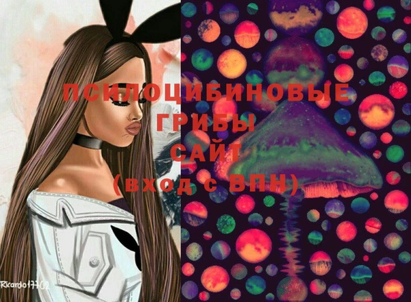 шишки Богородицк