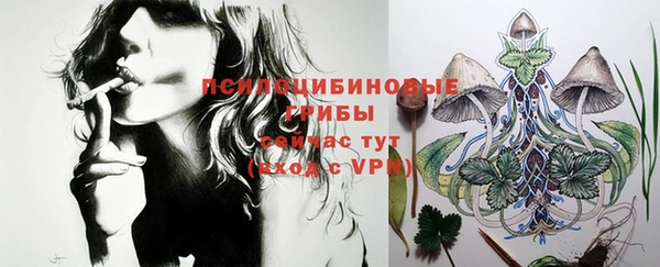 apvp Белокуриха