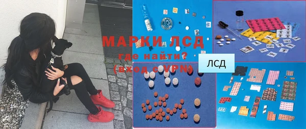 apvp Белокуриха